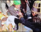 Viral Video Pernikahan Pria dengan Domba Betina di Gresik Demi Konten, Malah Bikin Resah Publik