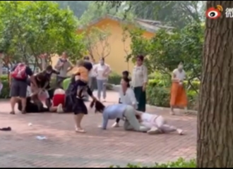 Tawuran Antar Pengunjung Kebun Binatang di China Viral Karena Hewan-hewan di Sana Meniru Aksi Tawuran Tersebut