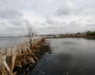 Netizen Ramai Bahas Tingginya Kandungan Paracetamol di Air Teluk Jakarta, Pemprov DKI Beri Tanggapan