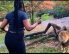 Kepolisian New York Buru Wanita yang Menerobos Pagar Pelindung dan Menantang Seekor SInga di Kebun Binatang