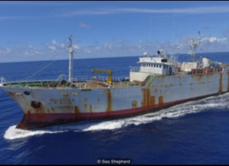 Saga Perburuan Kapal Pencuri Ikan Dolgov: Berlangsung Tiga Minggu, Melintasi Samudra Hindia dan Berakhir di Indonesia