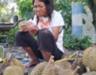 Tega, Ada Orang Tipu Penyandang Difabel yang Berjualan Durian dengan Uang Palsu di Blitar