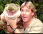 Hina Steve Irwin di Hari Ulang Tahunnya, PETA Dihujat Netizens Dari Penjuru Dunia