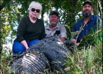 Seorang Nenek di Texas, Amerika Serikat Membunuh Seekor Alligator Seberat 263kg Karena Diduga Memakan Kuda Mini Miliknya