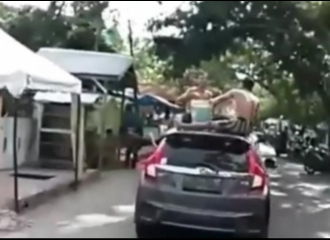 Dua Remaja Mandi di Atap Mobil yang Tengah Melaju di Jalan di Bulukumba, Sulawesi Selatan