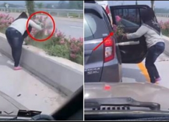 Identitas Pemilik Mobil Dari Emak-emak yang Mengambil Tanaman di Exit Tol Singosari Malang Terungkap