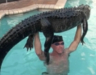 Pria Florida Bergulat dengan Aligator di Sebuah Kolam Renang dan Menang