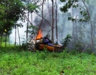 Ngeri! Video Detik-detik Jatuhnya Pesawat Tempur di Yogyakarta