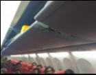 Seekor Kalajengking Terlihat Merayap di Kabin Pesawat Lion Air!
