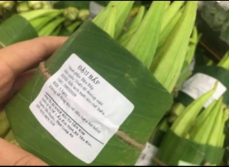Supermarket di Vietnam Mulai Gunakan Daun Pisang Untuk Gantikan Kantong Plastik