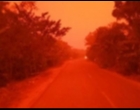 Langit Merah Provinsi Jambi, Alarm Bagi Bangsa Akan Bahaya Karhutla