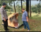 Sejoli dalam Tenda Tersambar Petir di Bukit Waruwangi, Serang. Korban Pria Tewas, Korban Perempuan Pingsan