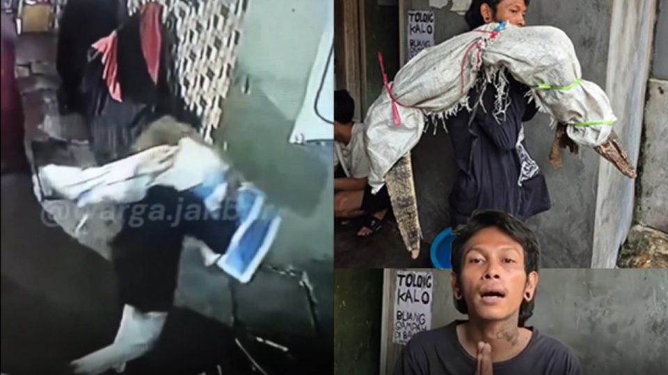 Viral Dikira Gendong Karung Berisi Mayat, Ternyata Isinya Biawak