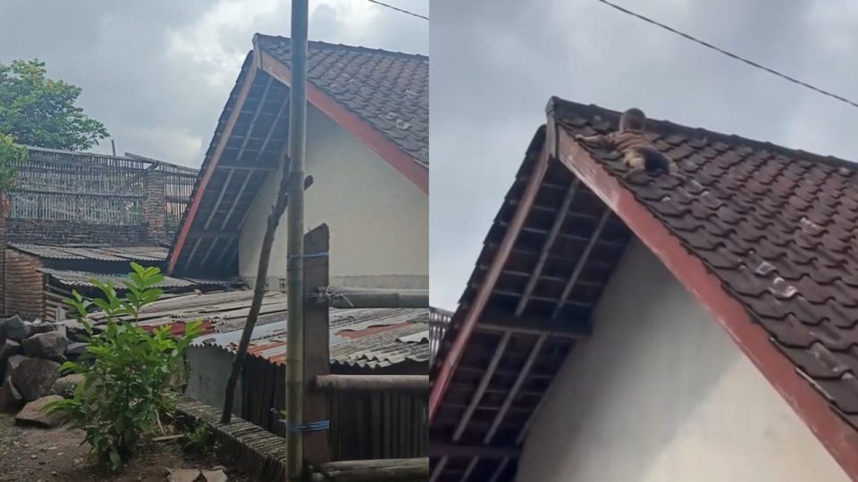 Ditinggal Ibu ke Kamar Mandi, Balita di Lombok Naik Atas Genting