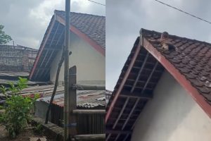 Ditinggal Ibu ke Kamar Mandi, Balita di Lombok Naik Atas Genting