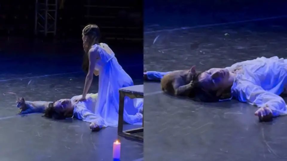 Panggung Balet Romeo dan Juliet di Turki "Diserang" Si Kucing Oyen