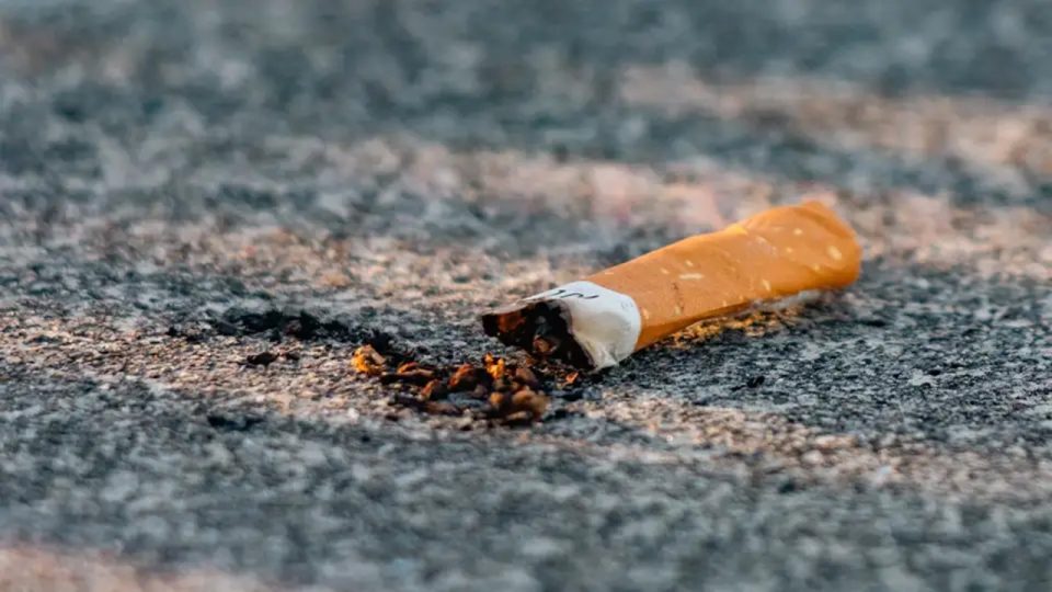 Pria Indonesia Jadi Orang Pertama Yang Dipenjara di Malaysia Karena Buang Puntung Rokok Sembarangan