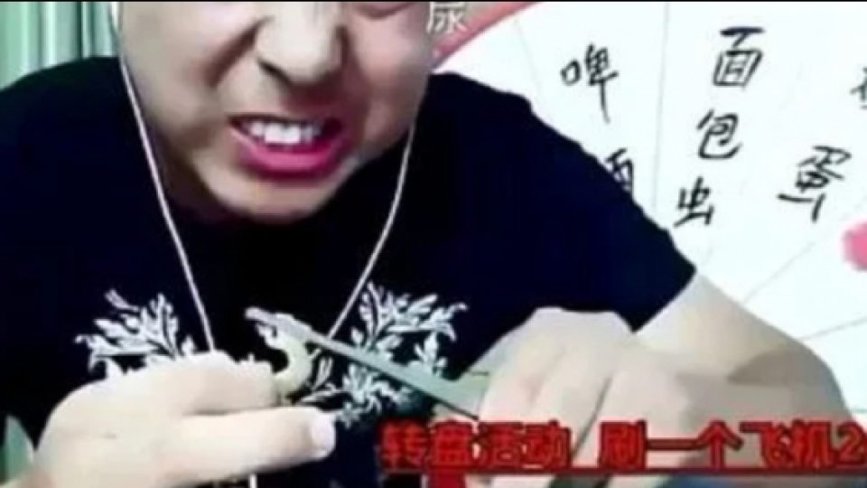 Vlogger Asal China Tewas Saat Live-streaming Karena Memakan Kelabang Beracun & Tokek Hidup-hidup
