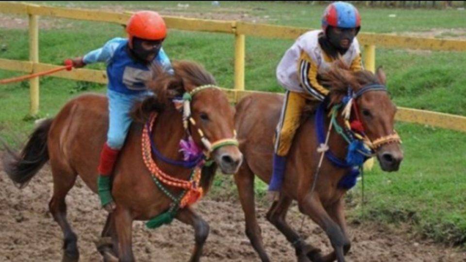 Anak Kecil yang Bekerja Sebagai Joki Kuda Balap Tewas di NTB, Bentuk Eksploitasi Anak Atas Nama Tradisi
