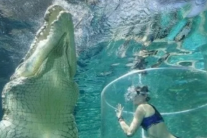 14 Foto Ini Menunjukkan Betapa Kecilnya Manusia Sebenarnya