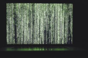 Canggih, Hacker Bisa Curi Data Dari Cahaya Monitor Perangkat Targetnya! 