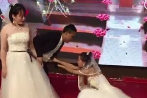 Seorang Wanita Nekad Menerobos Upacara Pernikahan Mantan Dan Memohon Balikan