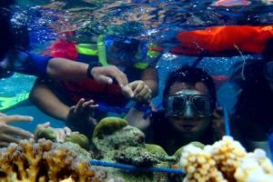 4 Spot Snorkeling Seru di Kepulauan Seribu