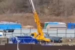 Sebuah Drone Menemukan Penjara Paus di Rusia Timur