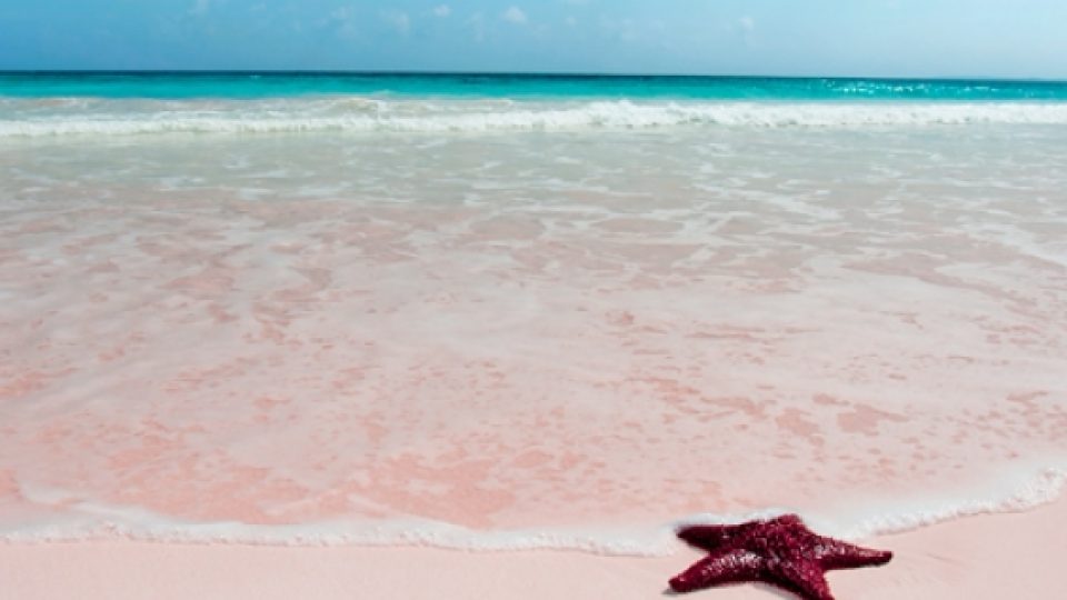 Menikmati Indahnya Liburan di Pasir Berwana Merah Muda