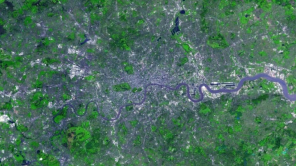 Ibukota Baru Indonesia Akan Berkonsep Forest City Seperti London
