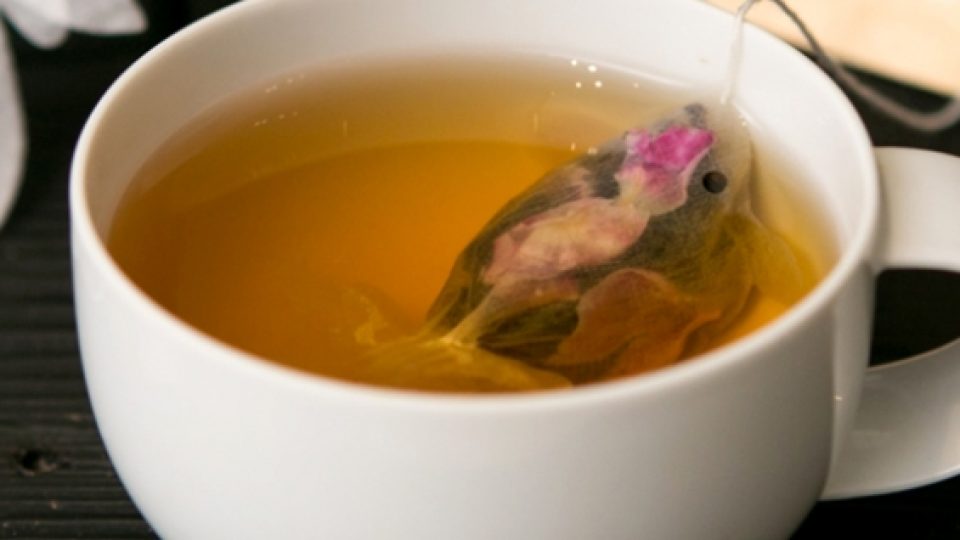 Nikmati Sensasi Minum Bersama Ikan Teh Celup yang Menggemaskan!