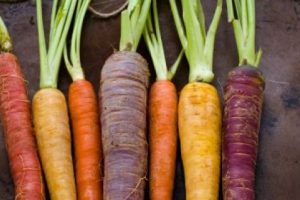 Ternyata Warna Wortel yang Sebenarnya Bukan Oranye!