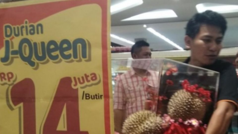 Heboh Durian J-Queen Seharga Rp.14 juta per Buah
