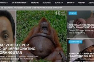 Media Asing Tuduh Penjaga Kebun Binatang Surabaya Hamili Orangutan