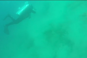 Kengerian Gempa Dilihat dari Bawah Laut