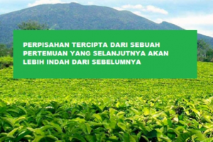 Arti perpisahan bagi-ku untuk pertemuan yang berharga dengan-mu