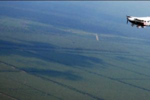 Pesawat Latih Jenis Cessna Jatuh di Sungai Cimanuk, Jawa Barat, 1 Awak Masih Hilang