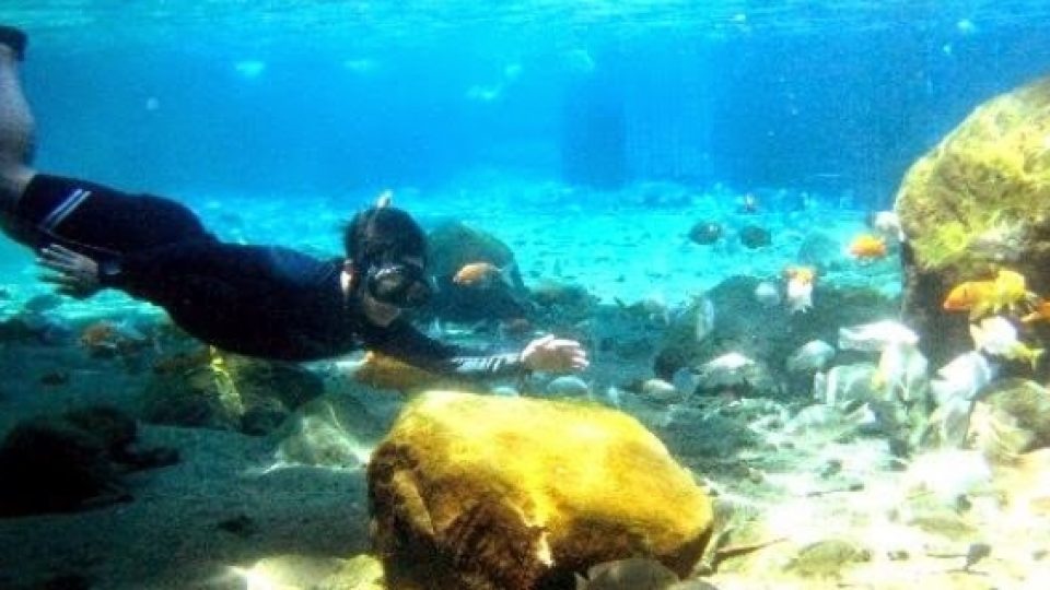 Sensasi Snorkling di Air Tawar Umbul Ponggok Klaten