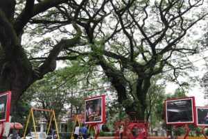 5 Taman Unik di Bandung, Jomblo Wajib Masuk! 