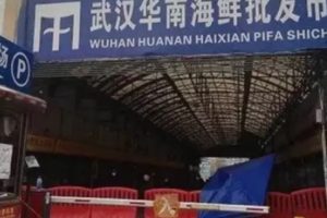 Angka Kematian Akibat Virus Corona Wuhan Capai 56 Jiwa di China Hingga