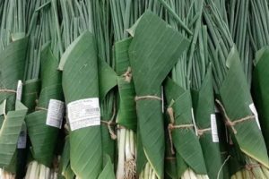 Supermarket di Vietnam Mulai Gunakan Daun Pisang Untuk Gantikan Kantong Plastik