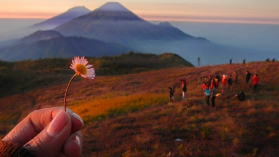4 Alasan Wajib Hiking Ke Gunung Prau