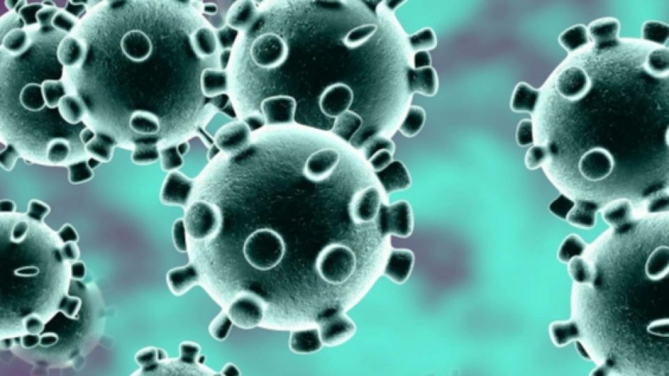 Ancaman Virus Corona Baru dari China Telah Menyebar ke Sejumlah Negara, 25 Orang Dikonfirmasi Tewas di China