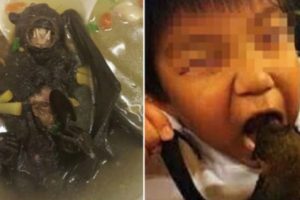 BREAKING: Wabah Virus Corona Misterius di Wuhan, China, Diduga Kuat Berasal Dari Sup Kelelawar yang Populer di Sana