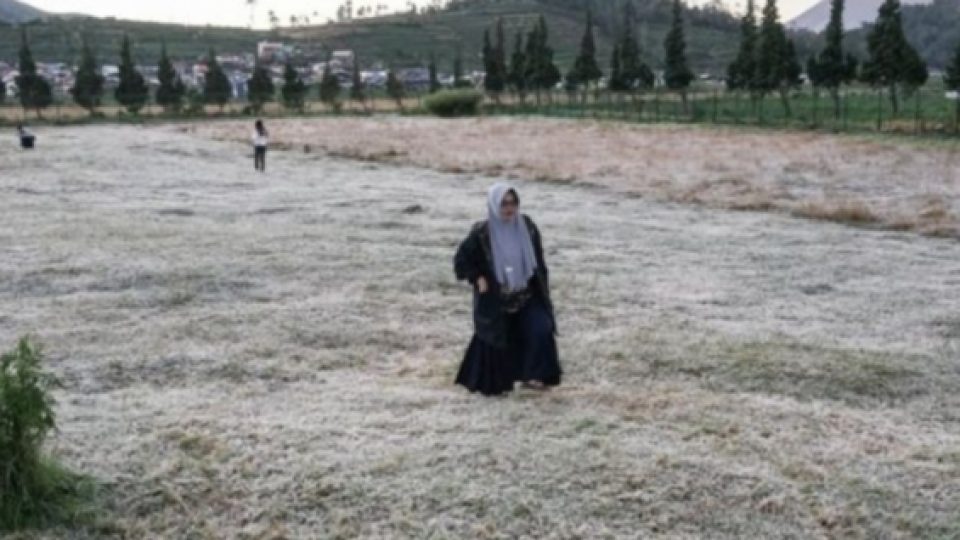 Dataran Tinggi Dieng dan Beberapa Daerah Lain Alami Suhu Dingin Hingga di Bawah 0 Derajat Celcius