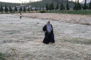 Dataran Tinggi Dieng dan Beberapa Daerah Lain Alami Suhu Dingin Hingga di Bawah 0 Derajat Celcius