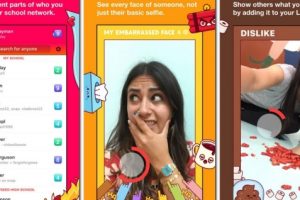 Facebook Hadirkan Lifestage, 'Snapchat' Khusus Kaum Muda