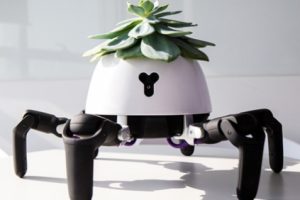 Hexa Mod, Robot Tanaman yang Bisa Berjalan Mencari Sinar Matahari, Menari, dan Bahkan Ngambek Jika Kekurangan Air