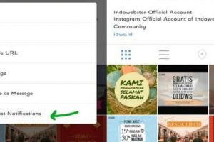 Bingung Lihat Tampilan Terbaru Instagram? Begini Cara Mengatasinya!