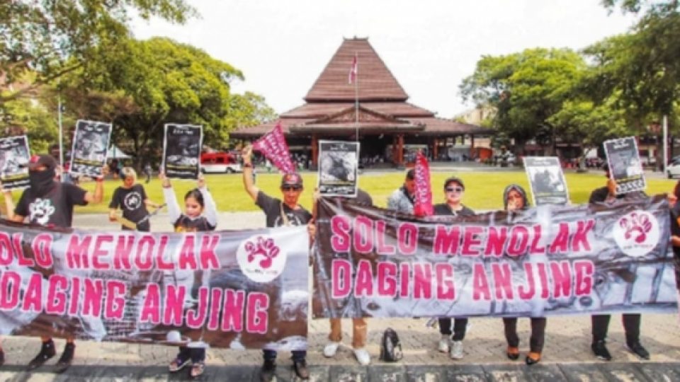 Kampanye Tolak Perdagangan Daging Anjing Digelar di Solo